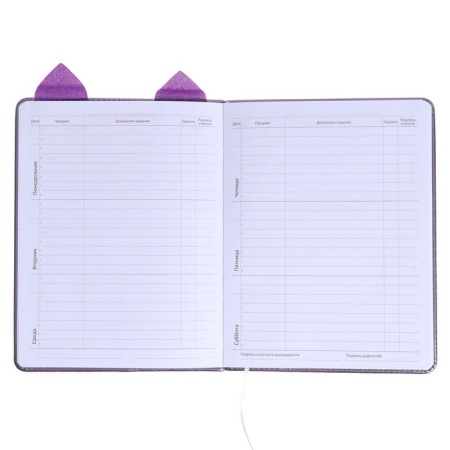 Universal diary for grade 1-11 Cat’s Eyes, hard cover, artificial leather, foam rubber, liesse, 80 g/m2-6
