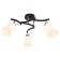 Lamp Ceiling Economy light 040j/3cr+Br WT, 3x60W, E27, 35x45x45 cm, brown color