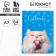 Notepad in solid cover A7, 64 liters "cat on a blue background"