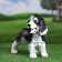 Garden Figure "Puppy Cocker Spaniel Black and White" 30x16x24cm