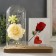 Photo frame 9x13 cm light "White rose in a flask" from batteries 2hlr1130 9.8x19.5x18 cm