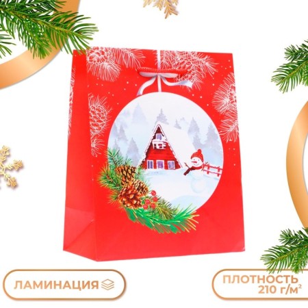 Gift Package "New Year's Shar", 18 x 22.3 x 10 cm