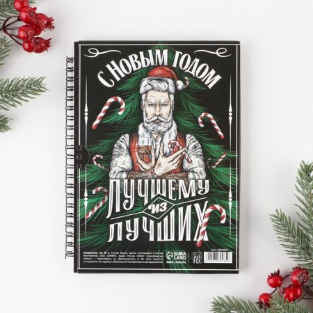 New Year. Diary in a gift box “The owner of life”, A5, 60 sheets, on the crest-6