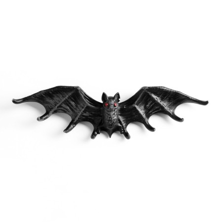Key of the "bat"-4