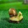 Garden figure "Snails" set 4pcs, 13x7.5cm