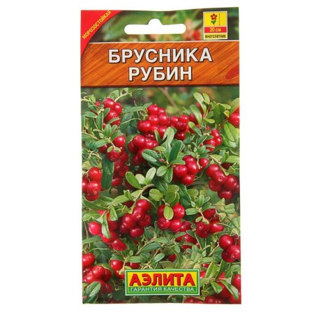 Brusnik seeds "Rubin", 0.01 g-2