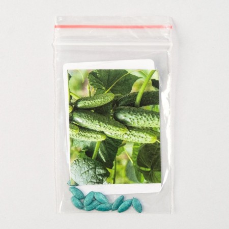 Cucumber seeds "Dynasty", F1, 10 pcs.