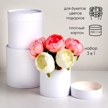 Set of round boxes 3 in 1, "white", 16x16, 14x14, 12x12 cm