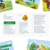Board game "Who hid where?", 80 cards, 3+