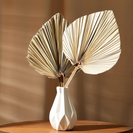 Dry flowers "Palm leaf", 52 × 20 × 2 cm-2