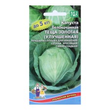 White cabbage seeds 