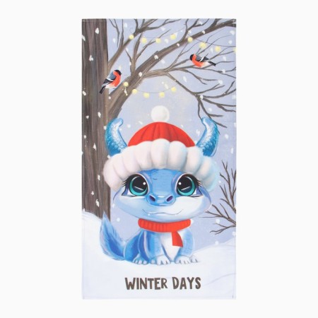 Ethel Winter Day towel 40x73 cm, 100% HL, sarzha 190 g/m2-1