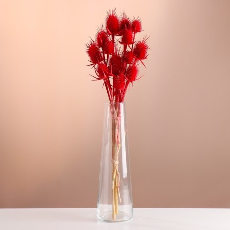 A set of dried flowers "Brush", a ban 7-8 pcs, length 50 (+/- 6 cm), red