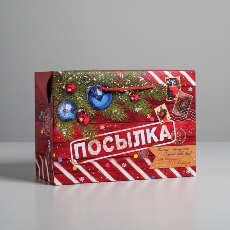 Package - New Year's Parcation, 28 x 20 x 13 cm, New Year-1