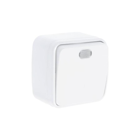TDM switch "Cottage" folk, 10 A, IP20, 1 key open with backlight, white