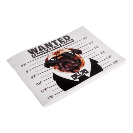 Album for drawing A4, 40 sheets on a paper clip, gangsta, cover chained cardboard, offset block 100 g/m2-1