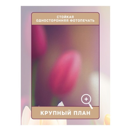 Фотошторы «Поле тюльпанов», сатен, размер 145х265 см, 2 шт-2