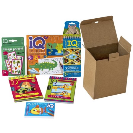 Package. IQ-IGR mini-complex for the development of attention and thinking