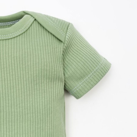 Body crumb I, Basic Line, height 74-80 cm, green color-2