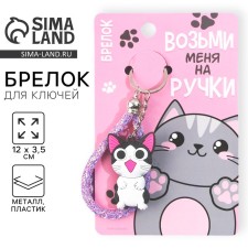 Keychain for keys 
