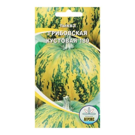 Seeds of Pumpkin Gribovskaya Bush 189 5pcs