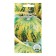 Seeds of Pumpkin Gribovskaya Bush 189 5pcs