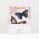 Laminated "butterflies" 26x32x12 package