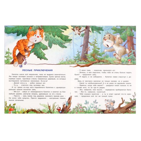 How a cat's mouse re -educated-2