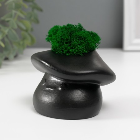 Concrete Kashpo "Mushroom" with moss 10x8x6.5 cm black (moss green stabilized)-1