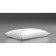 Pillow with Tutton, size 50x70 cm