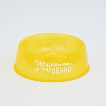 Plastic bowl “Promise to feed me forever”, 300 ml, yellow-2