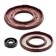 Set of gaskets with seals, SKI-doo, OEM 420894265