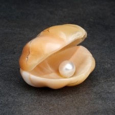 Souvenir 