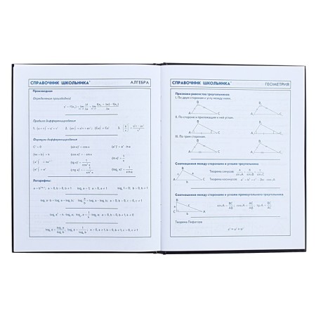 Diary for grades 5-11, 48 sheets "Cosmo Cat", solid cover, glossy lamination, foil embossing-10
