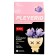 Designer "Flowers in a pot", 6 species, mix