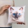 Antistress pillow "Ragdoll"