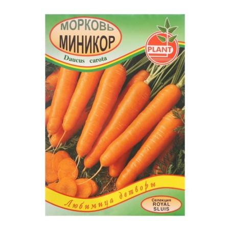 Carrots "Minicort", 800 pcs.