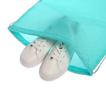 A bag for shoes 490 x 410 mm, "standard" SDS-51 max, (soft polyester, density 210 d), mint-4
