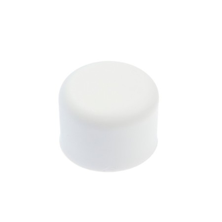 Zein plug, polypropylene, d = 25 mm