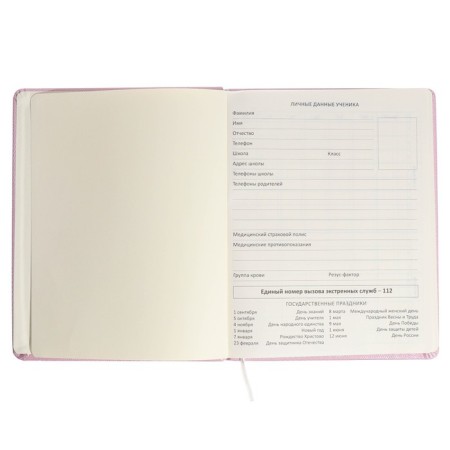Universal diary for grade 1-11 Triangular Heart, hard cover, artificial leather, foam rubber, lies, 80 g/m2-3