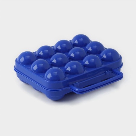Container for storing eggs with a handle, 20 × 7 cm, 12 cells, color mix