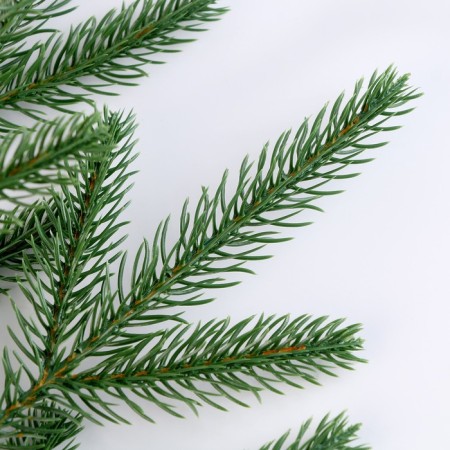 The spruce branch is green, size: 44 × 26 cm, 1 pc.-2