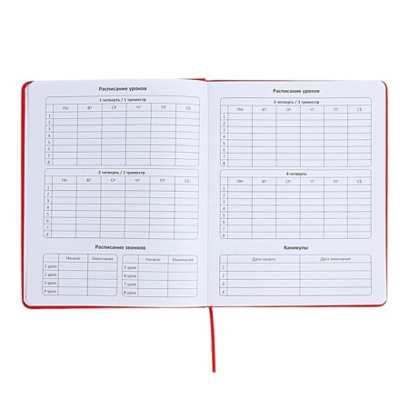 The universal diary for the 1-11 classes "Anime", a solid cover made of artificial leather, application, lies, 48 ​​sheets, red-5