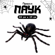 Прикол «Паук», цвет чёрный, 20×15 см