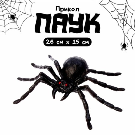Fun "Spider", black color, 20 × 15 cm