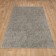 Lion carpet, size 200x300 cm