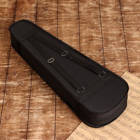 Case/case for the Music Life violin size 1/4-2