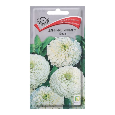 Seeds of Tsinnia flowers "Lilliput", white, 0.4g.