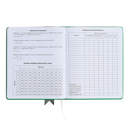 Universal diary for grades 1-11 Lenta, solid cover of artificial leather, applique, silkography, liesse, 48 sheets, green-13