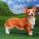 Garden figure "Corgi dog" 21x47x42cm